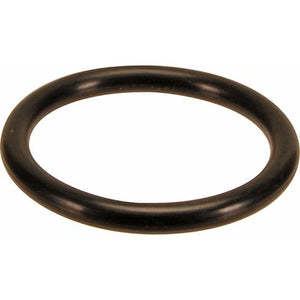 o-ring